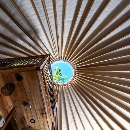 Yourtes Glamping Du Poisson Blanc Notre-Dame-du-Laus Kültér fotó